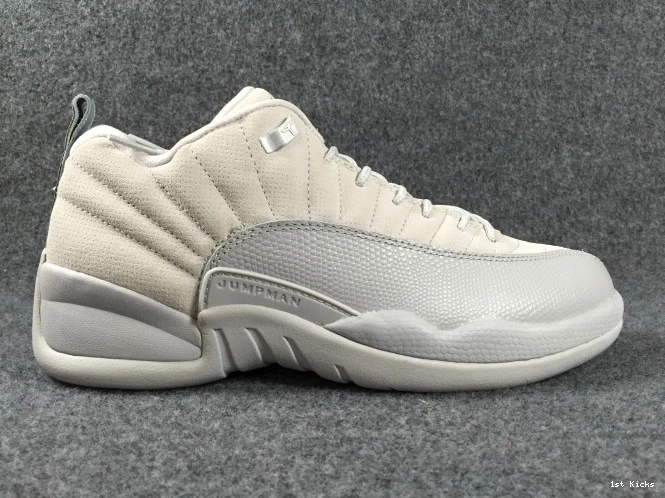 Suede Low 12 Grey Air Jordan 308317-002 0725